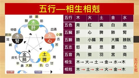 土剋什麼|五行相生相剋:五行,四季五行,相生相剋,概念對應,五行。